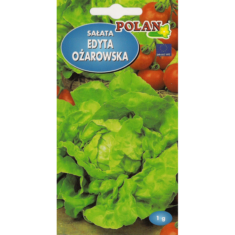Sałata masłowa Edyta Ożarowska