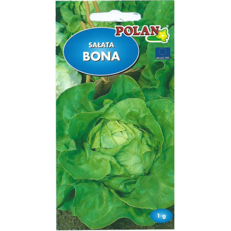 Sałata masłowa Bona