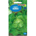 Sałata masłowa Bona