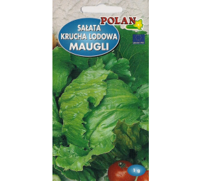 Sałata krucha lodowa Maugli