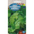 Sałata krucha lodowa Maugli