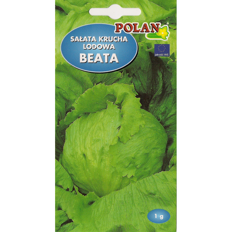 Sałata krucha lodowa Beata