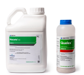 Quelex Complex Pak