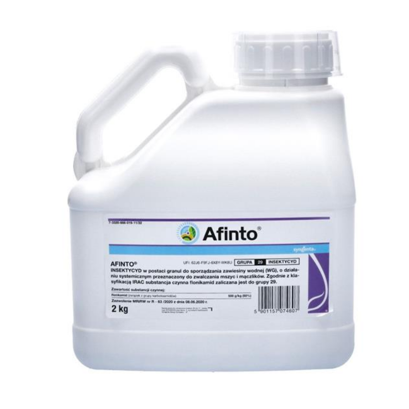 Afinto, mszyce, mączliki