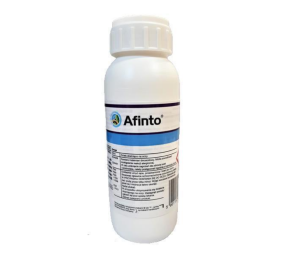 Afinto, mszyce, mączliki