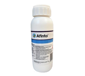 Afinto, mszyce, mączliki
