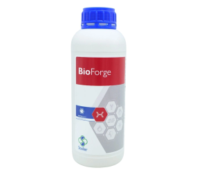 BioForge