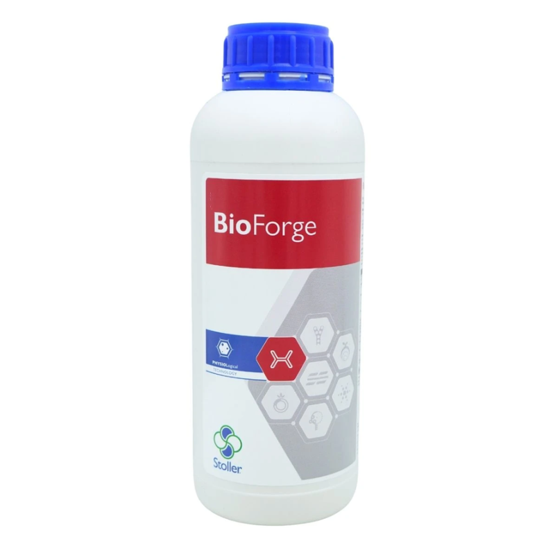 BioForge