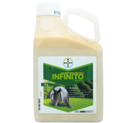 Infinito 687.5 SC, grzybobójczy, ogórek, ziemniak, cebula..