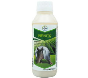 Infinito 687.5 SC, grzybobójczy, ogórek, ziemniak, cebula..