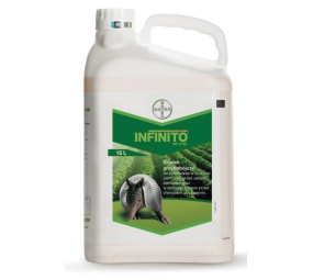 Infinito 687.5 SC, grzybobójczy, ogórek, ziemniak, cebula..