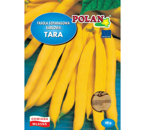 Fasola szparagowa karłowa Tara Polan