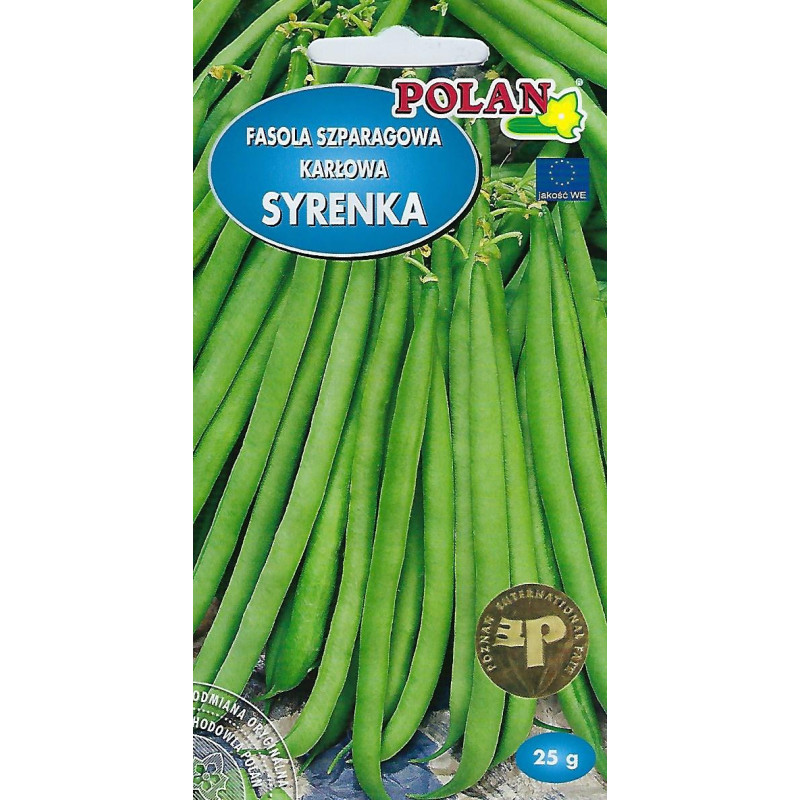 Fasola szparagowa karłowa Syrenka Polan