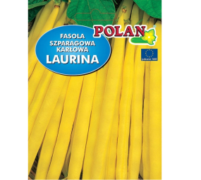 Fasola szparagowa karłowa Laurina Polan