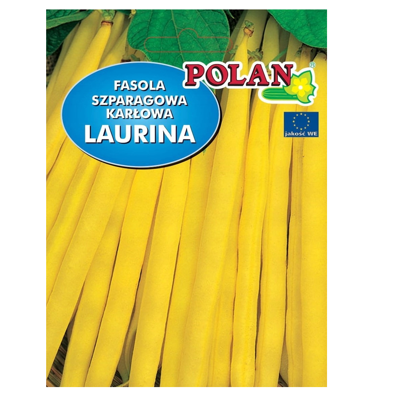 Fasola szparagowa karłowa Laurina Polan