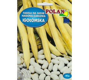 Fasola na suche ziarna karłowa Igołomska Polan