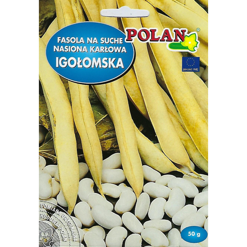 Fasola na suche ziarna karłowa Igołomska Polan