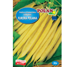 Fasola szparagowa karłowa Furora Polana Polan