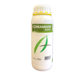 Comandor 480 EC, przedwschodowo, rzepak, gorczyca, bobik...