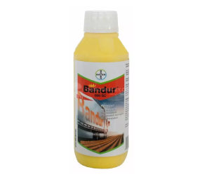 Bandur 600 SC, chwasty, warzywa, lucerna, tytoń...