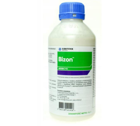 Bizon, chwasty, zboża, jesień.