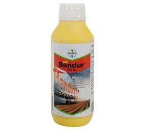 Bandur 600 SC