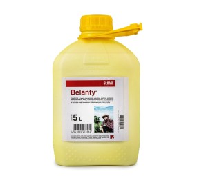 Belanty