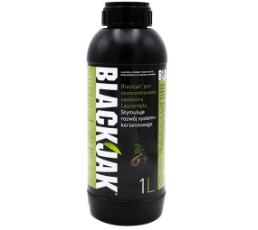 Black Jack