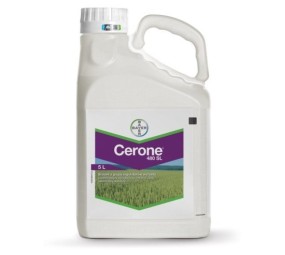 Cerone 480 SL