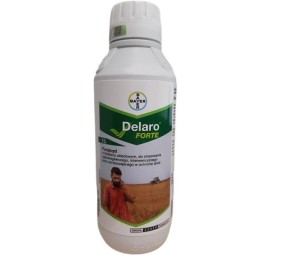 Delaro Forte