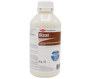 Bizon