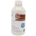Bizon