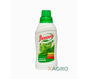 Florovit nawóz do paproci
