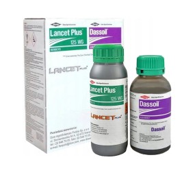 Lancet Plus 125 WG
