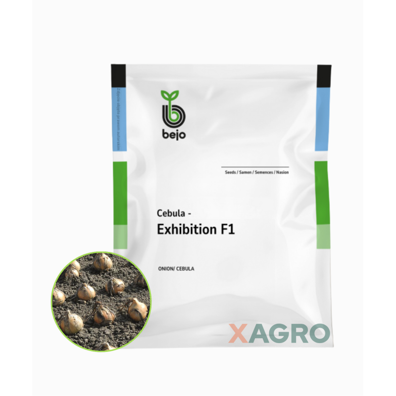 Cebula Exhibition Bejo