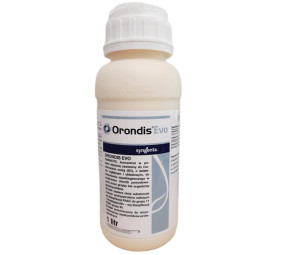 Orondis Evo