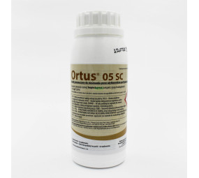 Ortus 05 SC
