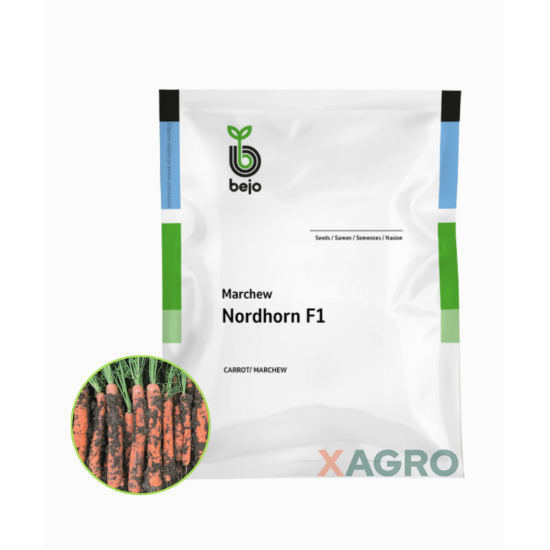 Marchew Nordhorn F1 Bejo