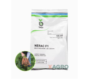 Marchew Nerac F1 Bejo