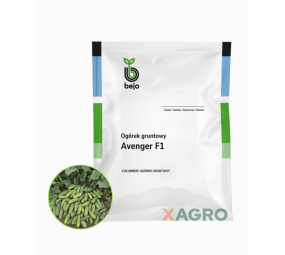 Ogórek gruntowy Avenger F1 Bejo