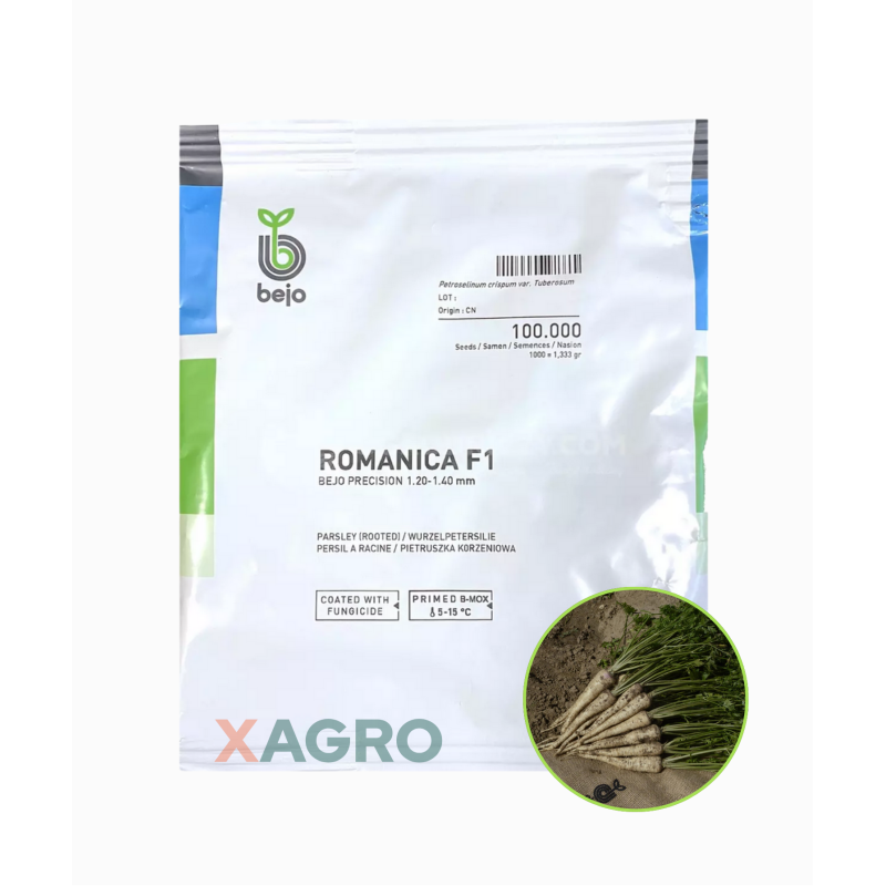 Pietruszka korzeniowa Romanica F1 B- Mox