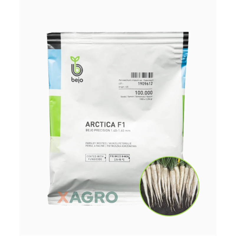 Pietruszka korzeniowa Arctica F1 B- Mox