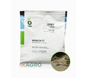Pietruszka korzeniowa Monica F1 B- Mox