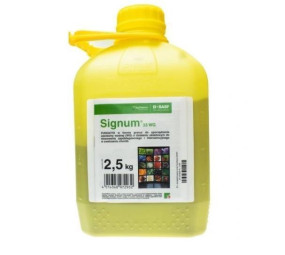 Signum 33 WG