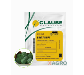Brokuł Sirtaki F1