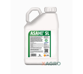 Asahi SL