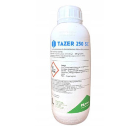Tazer 250 EW