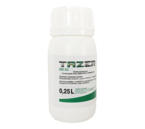 Tazer 250 EW