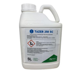 Tazer 250 EW