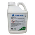 Tazer 250 EW
